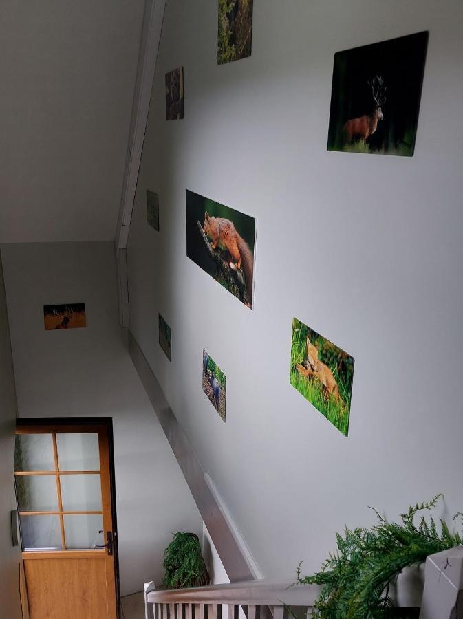O Baguenaudes Apartman Jalhay Kültér fotó